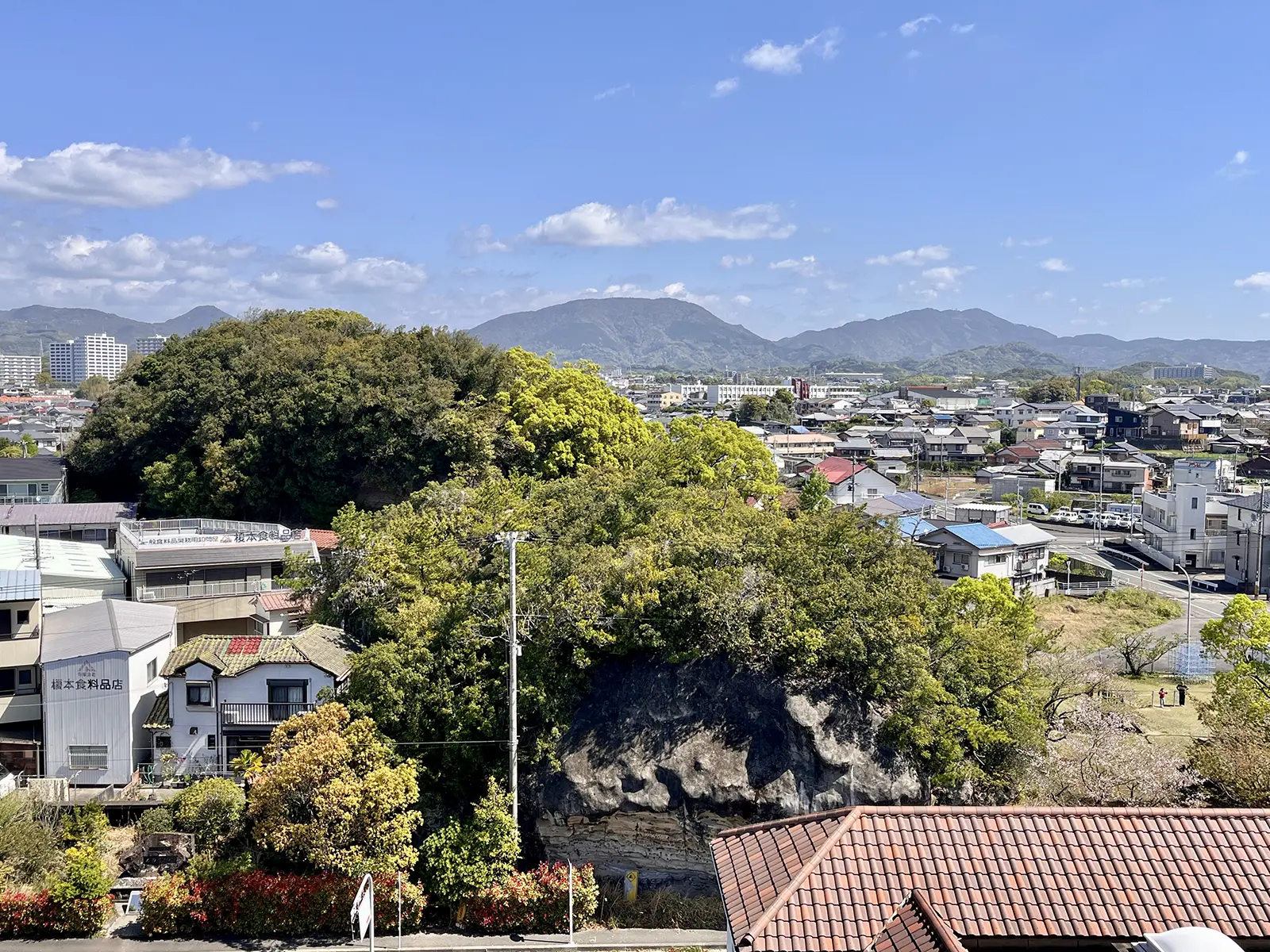 山側の客室から望む神楽神社の山